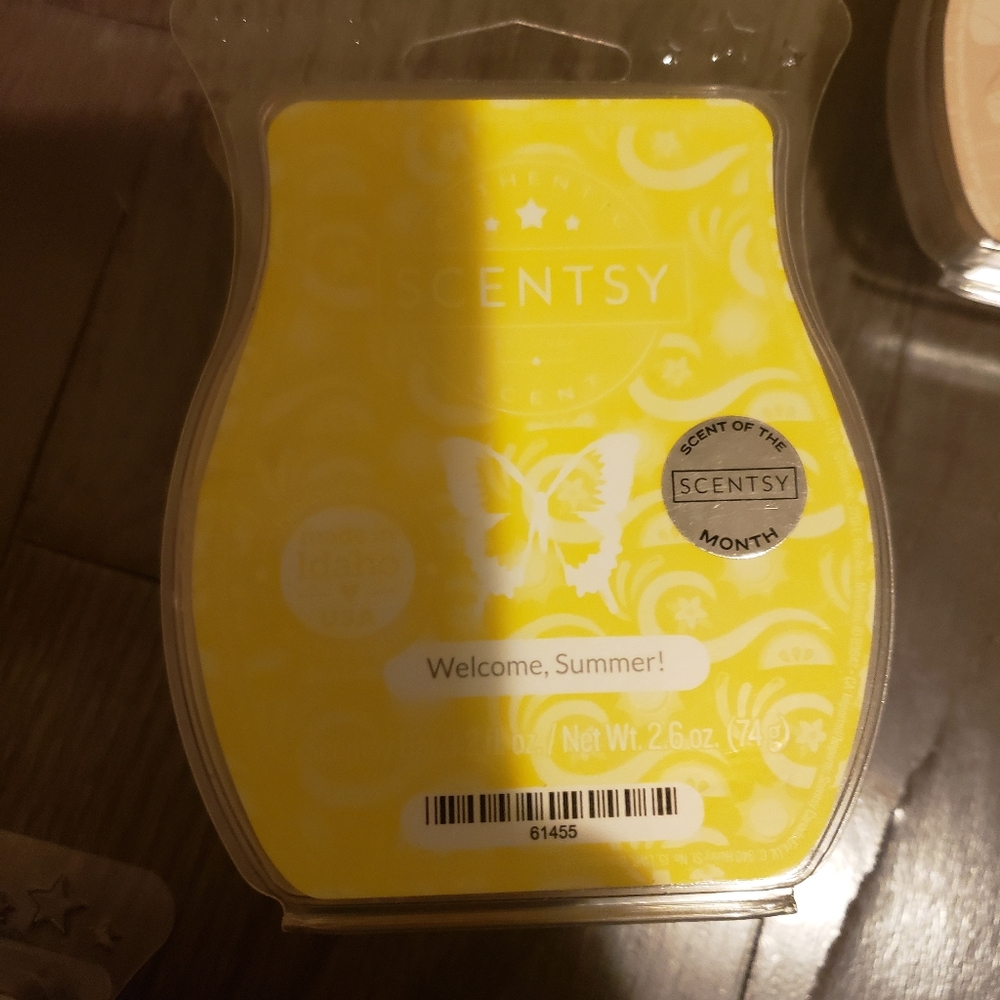 Scentsy wax bars